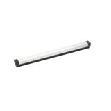 microswitch push bar